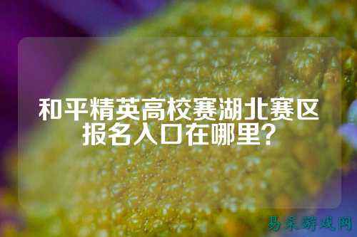 和平精英高校赛湖北赛区报名入口在哪里?