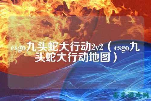 csgo九头蛇大行动2v2(csgo九头蛇大行动地图)