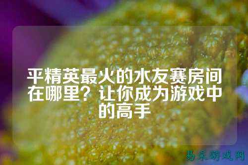 平精英最火的水友赛房间在哪里？让你成为游戏中的高手
