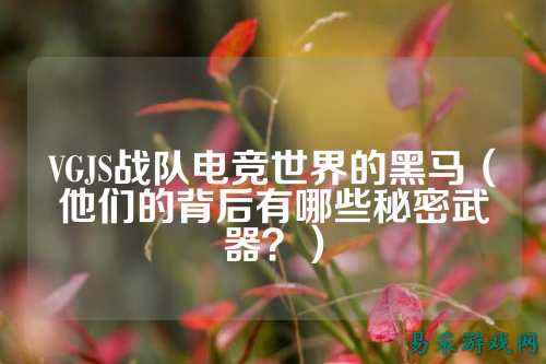 VGJS战队电竞世界的黑马（他们的背后有哪些秘密武器？）