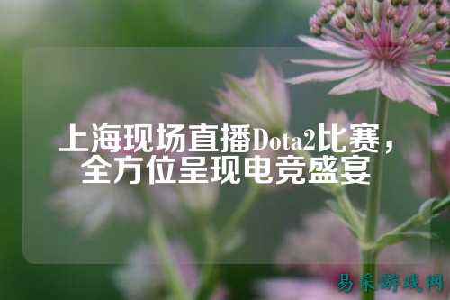 上海现场直播Dota2比赛,全方位呈现电竞盛宴