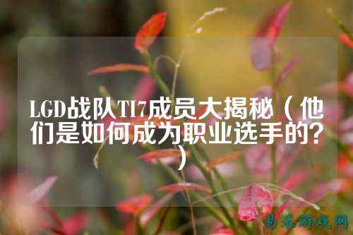 LGD战队TI7成员大揭秘（他们是如何成为职业选手的？）
