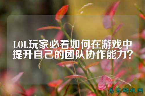 LOL玩家必看如何在游戏中提升自己的团队协作能力?