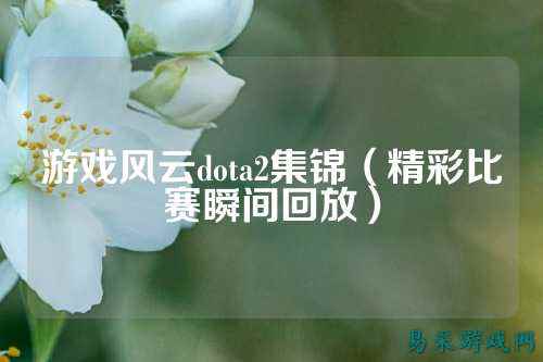 游戏风云dota2集锦(精彩比赛瞬间回放)