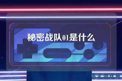 秘密战队01是什么