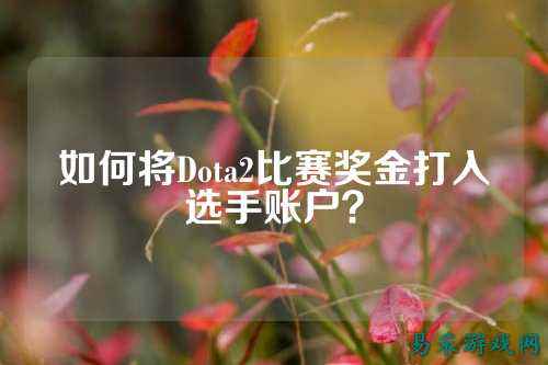 如何将Dota2比赛奖金打入选手账户？