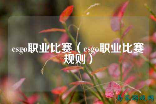 csgo职业比赛(csgo职业比赛规则)