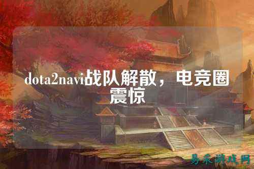 dota2navi战队解散，电竞圈震惊