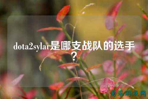 dota2sylar是哪支战队的选手？