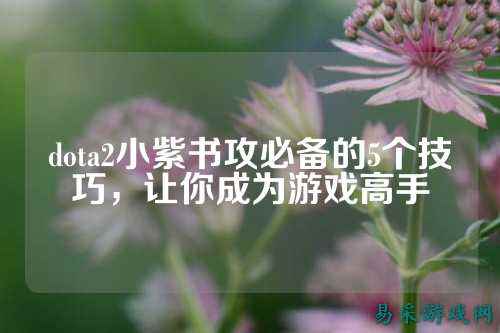 dota2小紫书攻必备的5个技巧,让你成为游戏高手