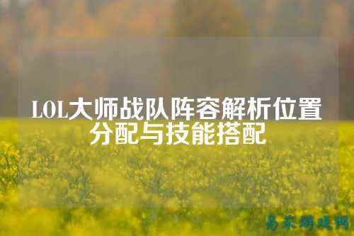 LOL大师战队阵容解析位置分配与技能搭配