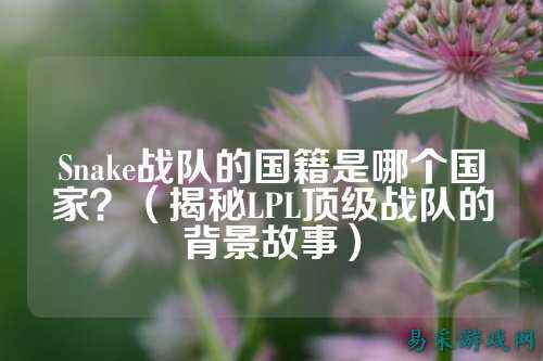 Snake战队的国籍是哪个国家？（揭秘LPL顶级战队的背景故事）