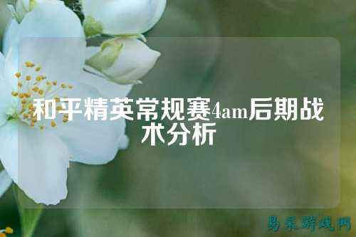 和平精英常规赛4am后期战术分析