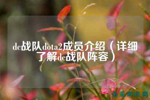 dc战队dota2成员介绍（详细了解dc战队阵容）