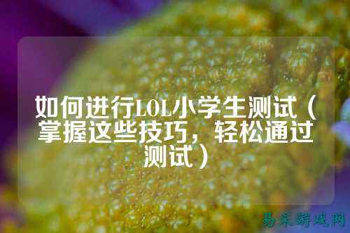 如何进行LOL小学生测试（掌握这些技巧，轻松通过测试）