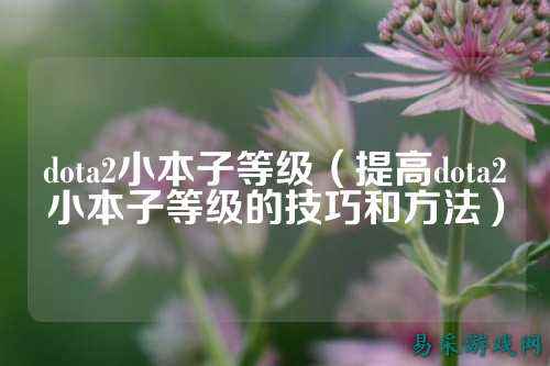 dota2小本子等级（提高dota2小本子等级的技巧和方法）