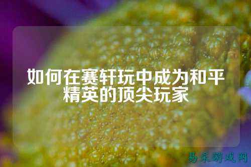 如何在赛轩玩中成为和平精英的顶尖玩家