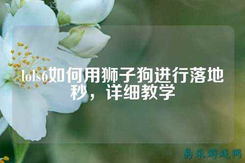 lols6如何用狮子狗进行落地秒，详细教学