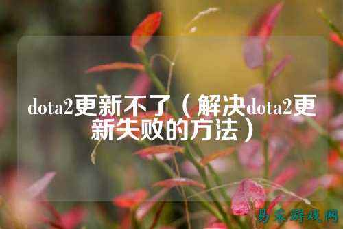 dota2更新不了(解决dota2更新失败的方法)