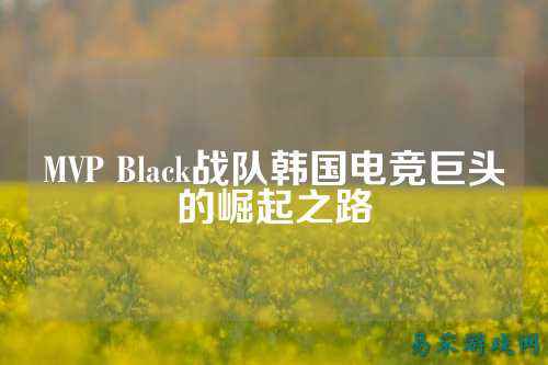 MVP Black战队韩国电竞巨头的崛起之路