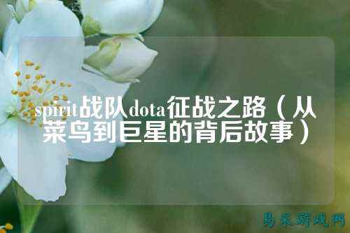 spirit战队dota征战之路（从菜鸟到巨星的背后故事）