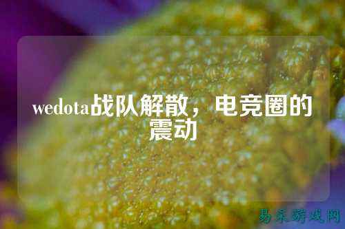 wedota战队解散，电竞圈的震动