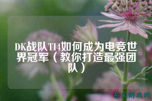 DK战队TI4如何成为电竞世界冠军（教你打造最强团队）