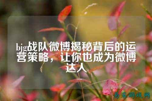 bjg战队微博揭秘背后的运营策略，让你也成为微博达人