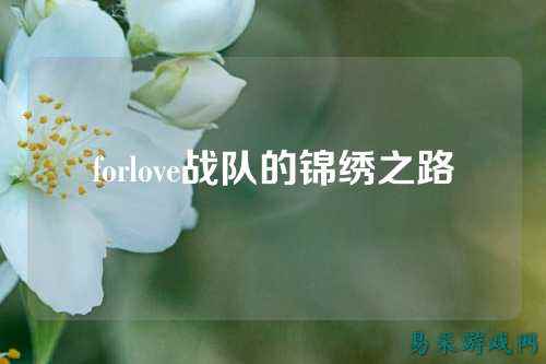 forlove战队的锦绣之路