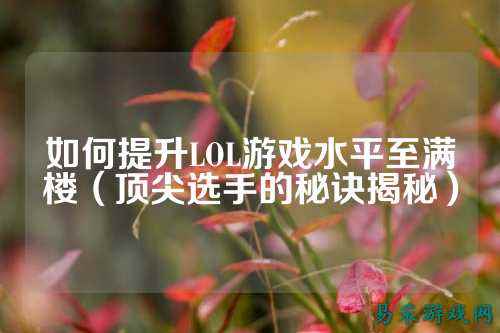 如何提升LOL游戏水平至满楼(顶尖选手的秘诀揭秘)