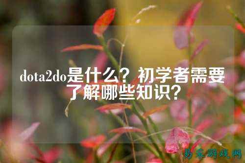 dota2do是什么?初学者需要了解哪些知识?