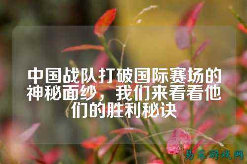 中国战队打破国际赛场的神秘面纱，我们来看看他们的胜利秘诀