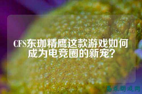 CFS东珈精鹰这款游戏如何成为电竞圈的新宠?