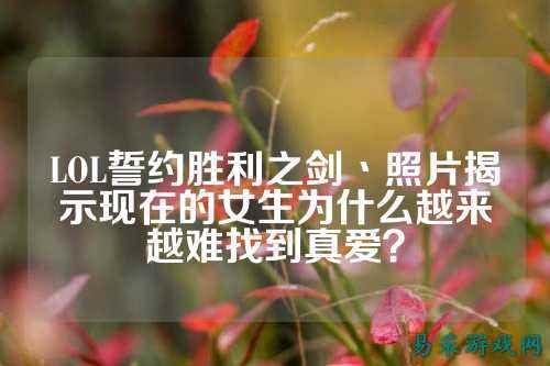 LOL誓约胜利之剑丶照片揭示现在的女生为什么越来越难找到真爱?