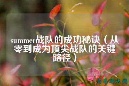 summer战队的成功秘诀（从零到成为顶尖战队的关键路径）
