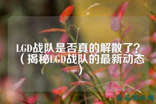 LGD战队是否真的解散了？（揭秘LGD战队的最新动态）