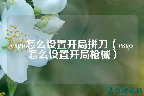 csgo怎么设置开局拼刀（csgo怎么设置开局枪械）