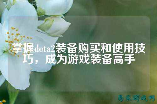 掌握dota2装备购买和使用技巧，成为游戏装备高手