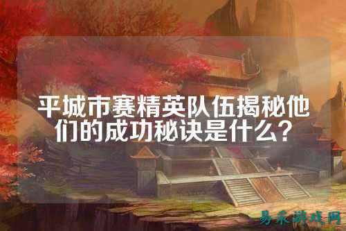 平城市赛精英队伍揭秘他们的成功秘诀是什么？