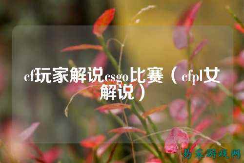 cf玩家解说csgo比赛(cfpl女解说)