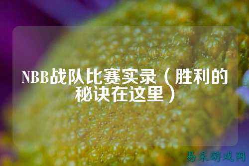 NBB战队比赛实录（胜利的秘诀在这里）