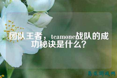 团队王者，teamone战队的成功秘诀是什么？