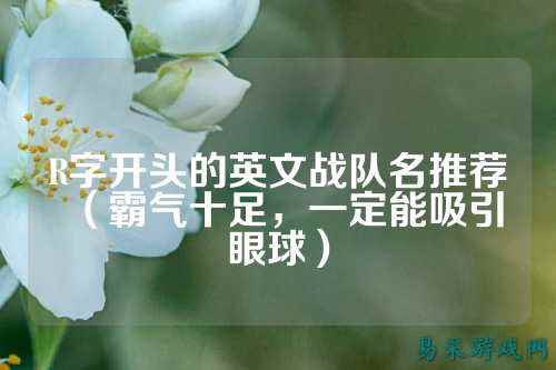 R字开头的英文战队名推荐（霸气十足，一定能吸引眼球）