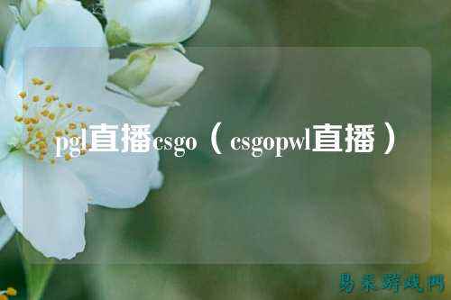 pgl直播csgo(csgopwl直播)