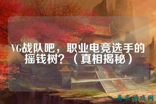 VG战队吧，职业电竞选手的摇钱树？（真相揭秘）