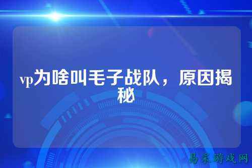 vp为啥叫毛子战队，原因揭秘
