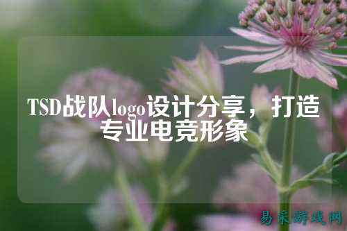 TSD战队logo设计分享，打造专业电竞形象