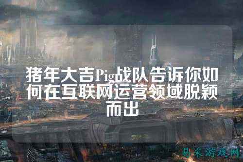 猪年大吉Pig战队告诉你如何在互联网运营领域脱颖而出