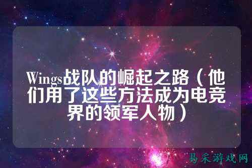 Wings战队的崛起之路（他们用了这些方法成为电竞界的领军人物）