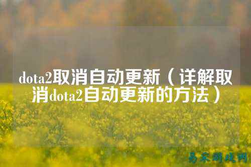 dota2取消自动更新(详解取消dota2自动更新的方法)
